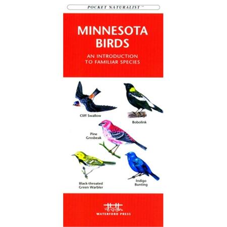 WATERFORD PRESS Minnesota Birds Book: An Introduction to Familiar Species State Nature Guides WFP1583551035